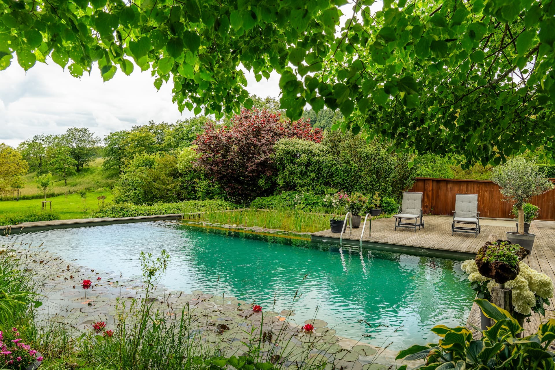 Beautiful garden with pond